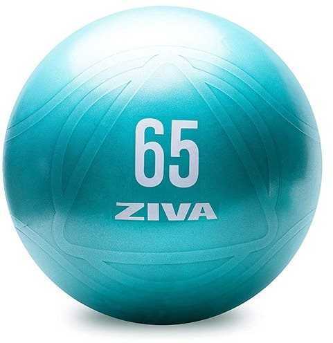 Fitness labda ZIVA Gimnasztikai labda 65 cm