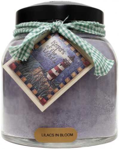 Gyertya CHEERFUL Papa Jar lila 964 g