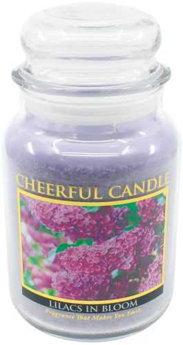 Gyertya CHEERFUL lila 680 g