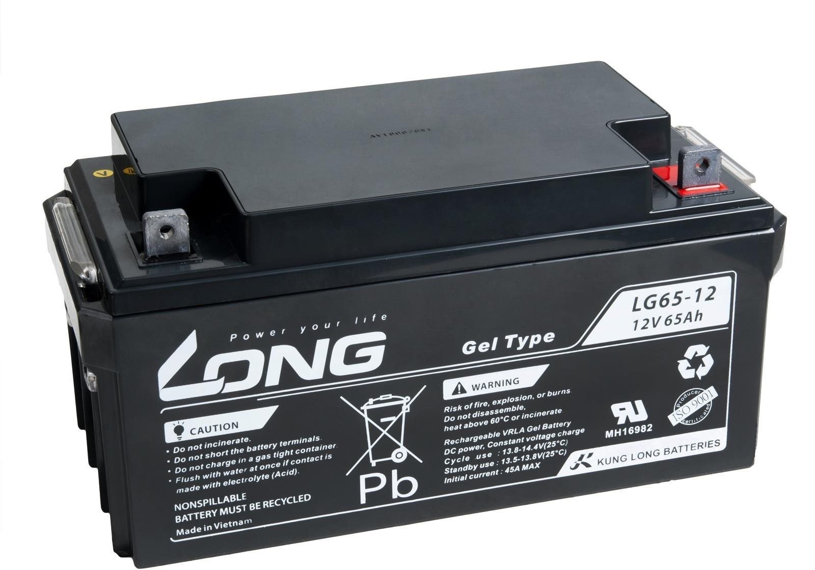 Trakční baterie Long 12V 65Ah olověný akumulátor DeepCycle GEL F4 (LG65-12)