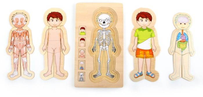 Készségfejlesztő játék Puzzle - Anatomy Tim