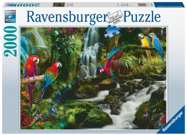 Puzzle Ravensburger Puzzle 171118 Színes papagáj a dzsungelben 2000 db