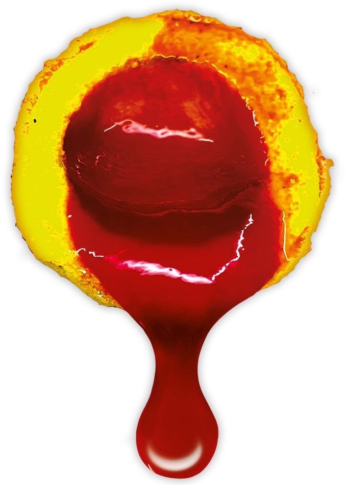 Bojli LK Baits Nutrigo Extra Mango 20 mm 200 ml