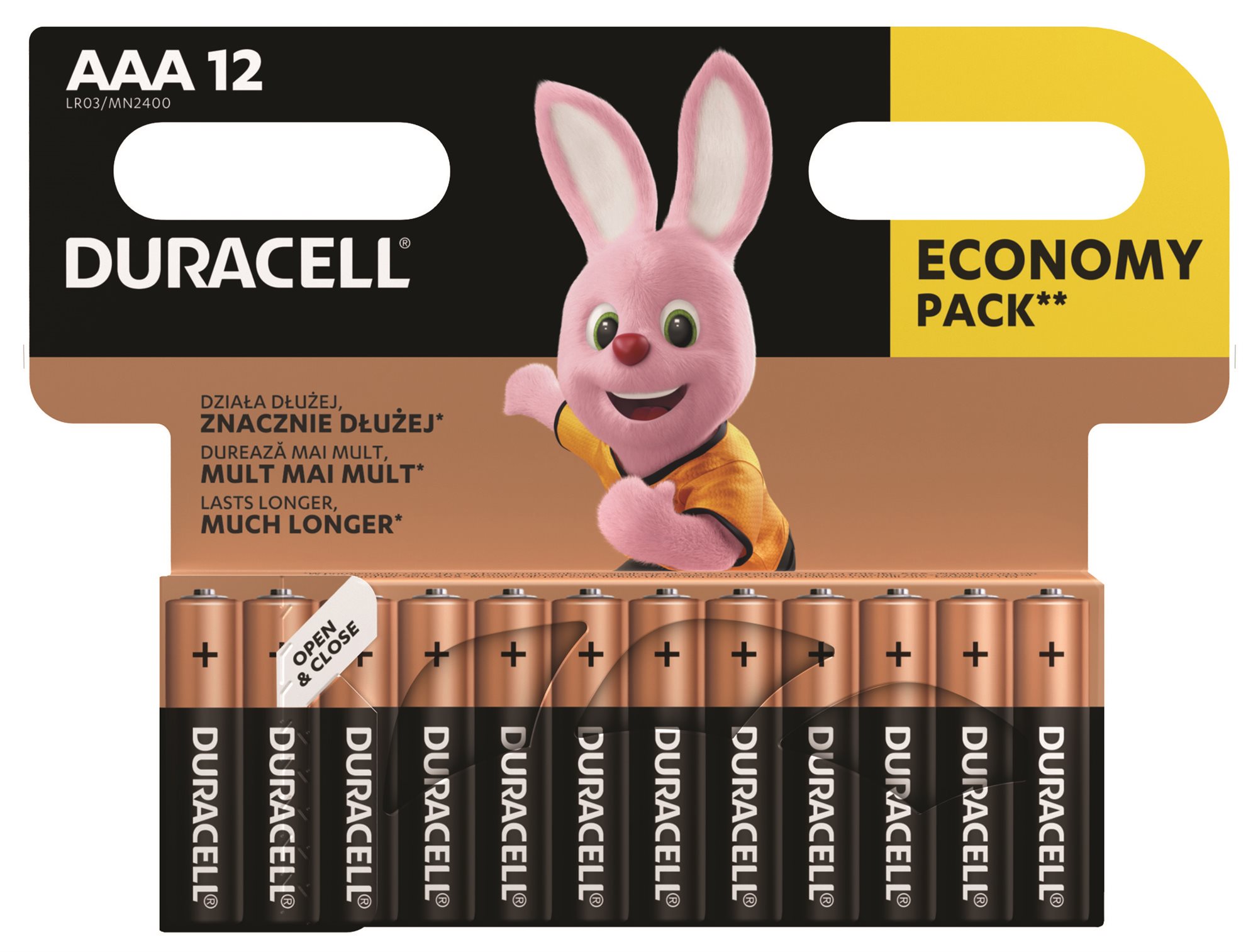 Eldobható elem Duracell Basic alkáli elem 12 db (AAA)