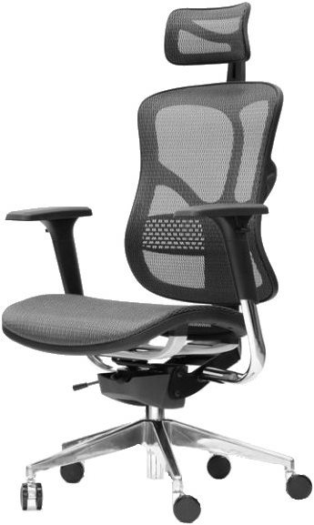 Irodai szék Spinergo Business