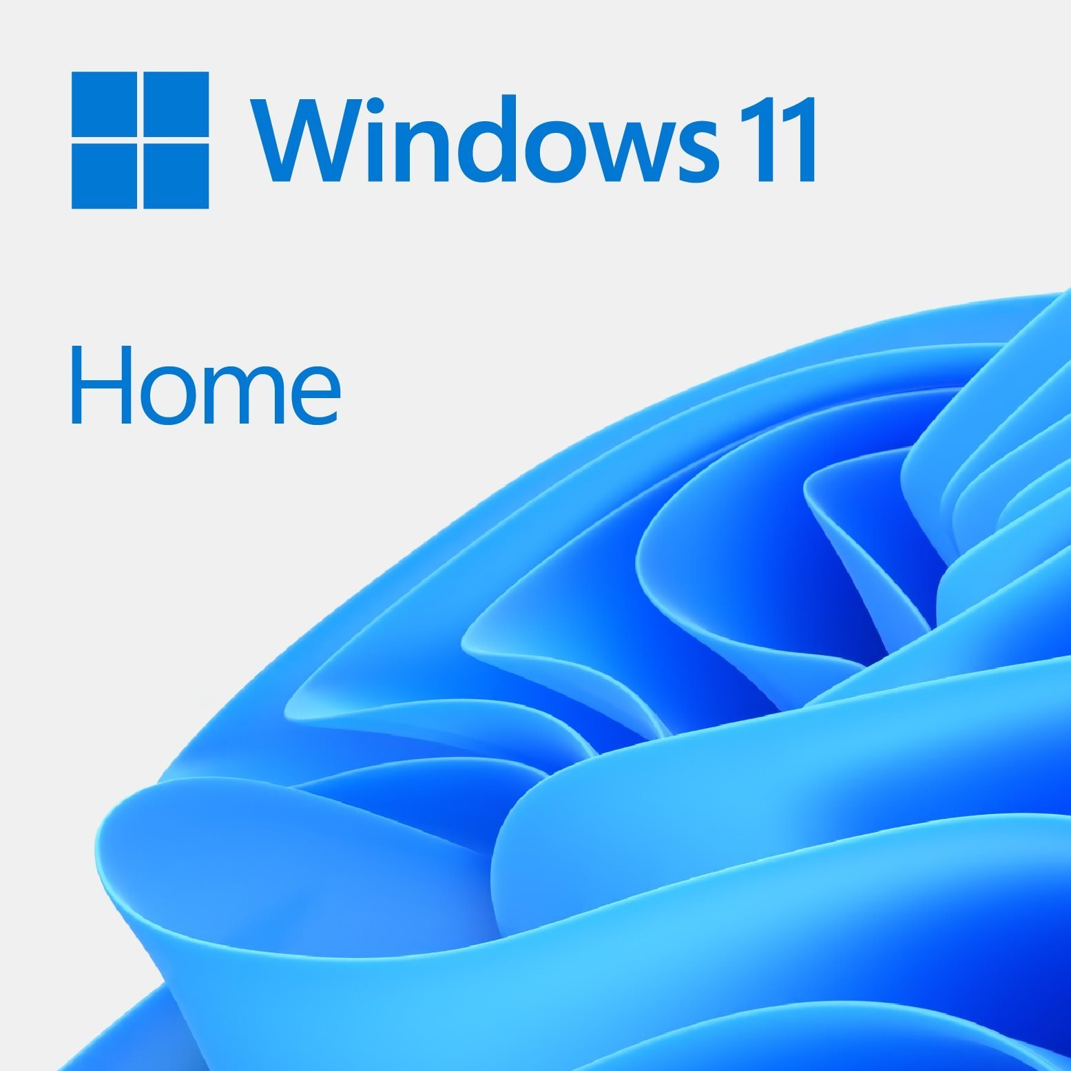 Operációs rendszer Microsoft Windows 11 Home EN (OEM)