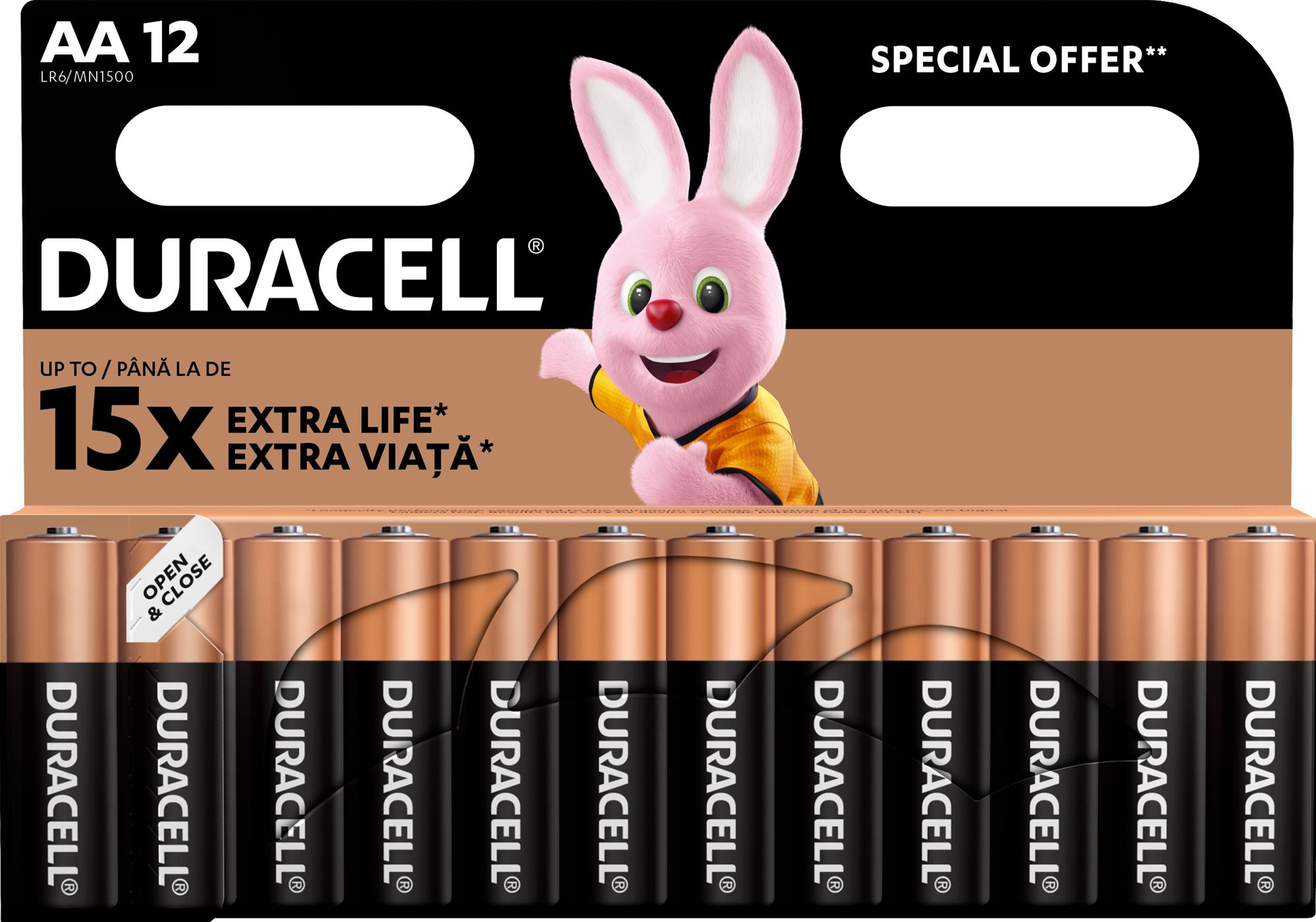 Eldobható elem Duracell Basic alkáli elem 12 db (AA)