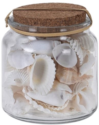 Dekoráció Dekoratív kagylók üvege dényben