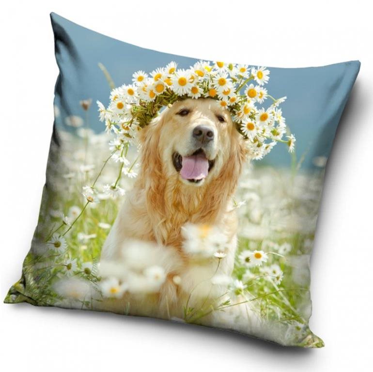 Párnahuzat CARBOTEX Párnahuzat Golden retriever Amálka 40×40 cm